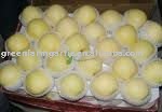 chinese fresh  red   golden   apple  packed in 18 kilo/cartons