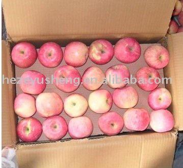 fresh red Gala apple