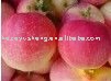 fresh Gala apple red delicious apple