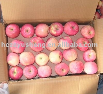 fresh gala apple yantai apple qixia apple