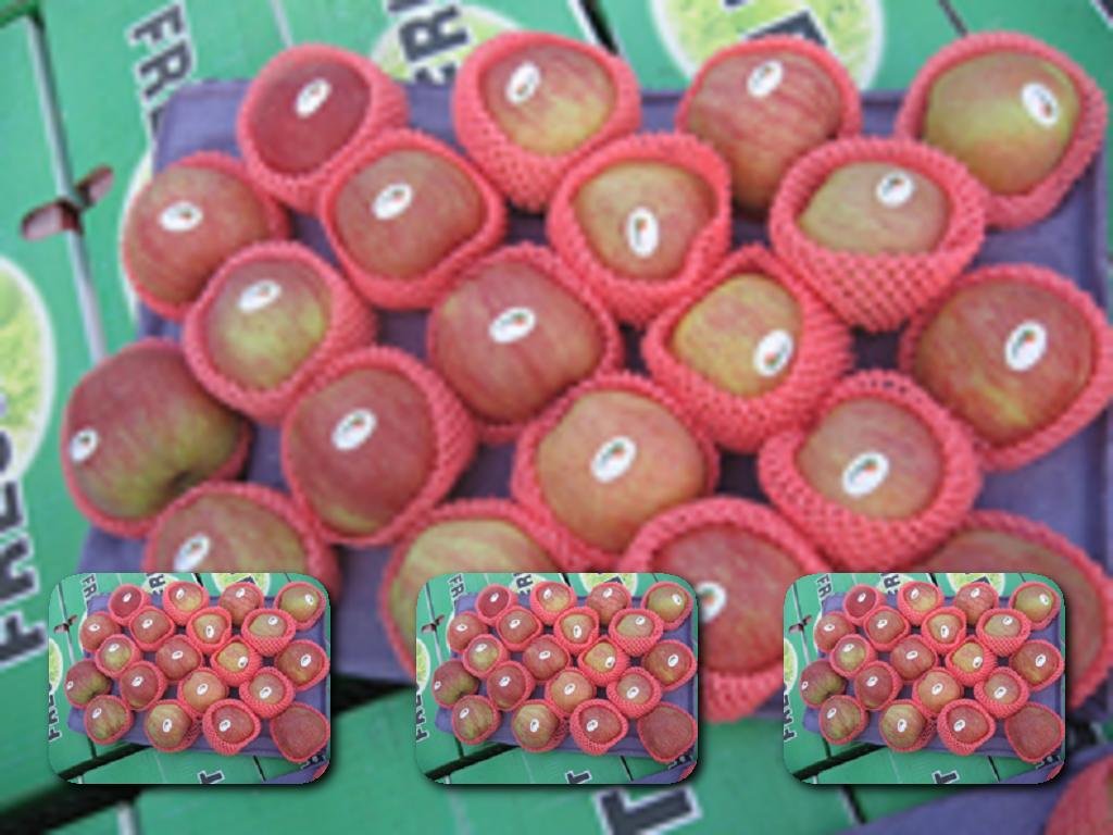 new fresh red star apple