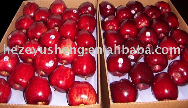 fresh huaniu apple in 20kg carton