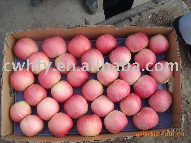  Fresh   Red   Gala  Apple