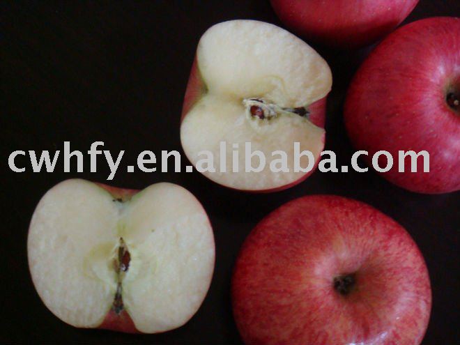 Red Gala Apple