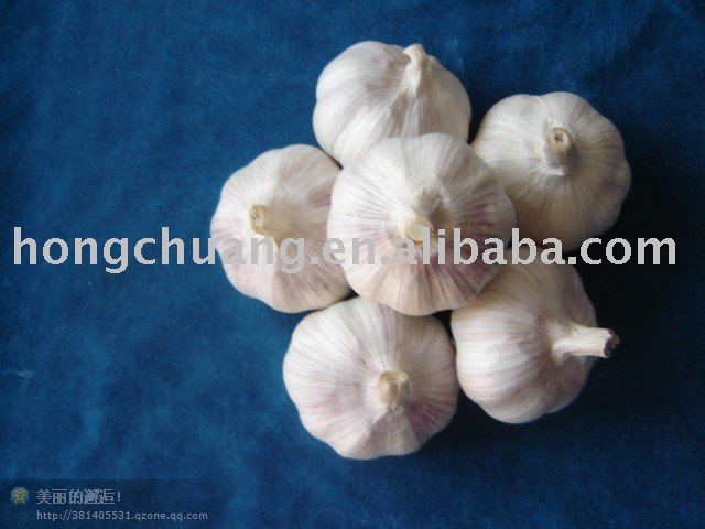  good  natural Garlic