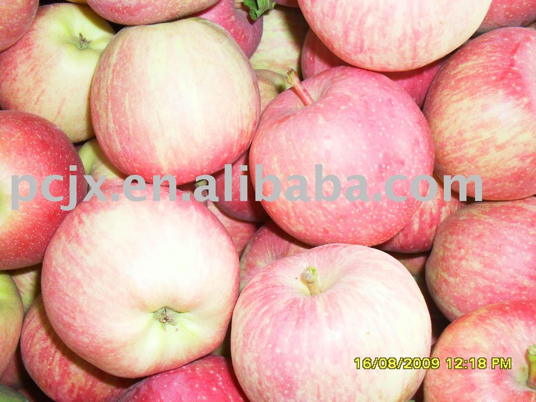  bagged   red  star  apple 