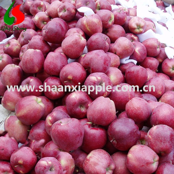 supply gansu 95% redness huaniu apple