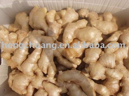 different Chinese fresh Ginger