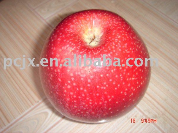 Red  Qin   Guan  apple