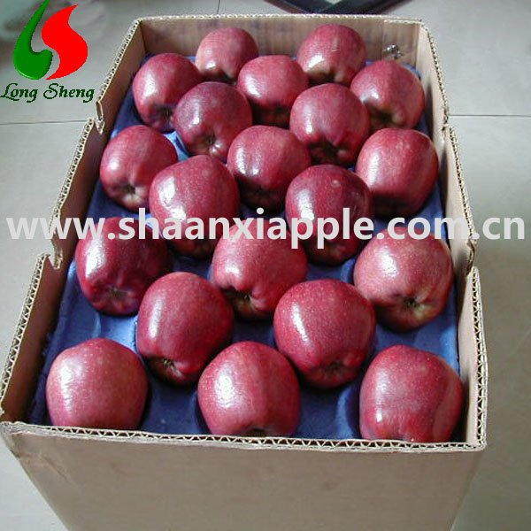 supply tianshui 2010 new huaniu apple