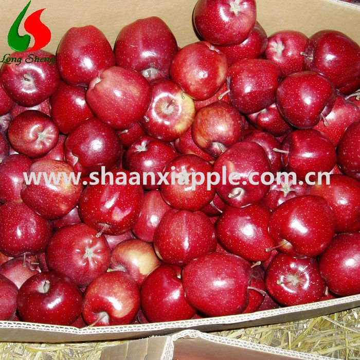 longsheng crystal red huaniu apple