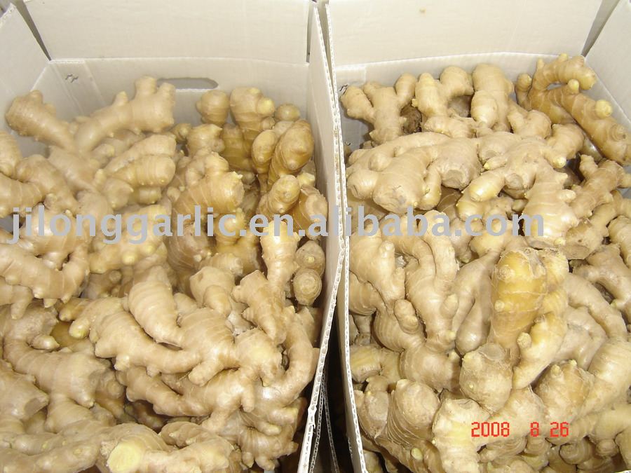 Chinese Air Dried Ginger