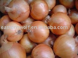 China onion in 20kg mesh bag package