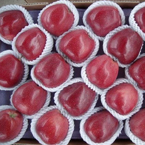 2010  new  Huaniu apple