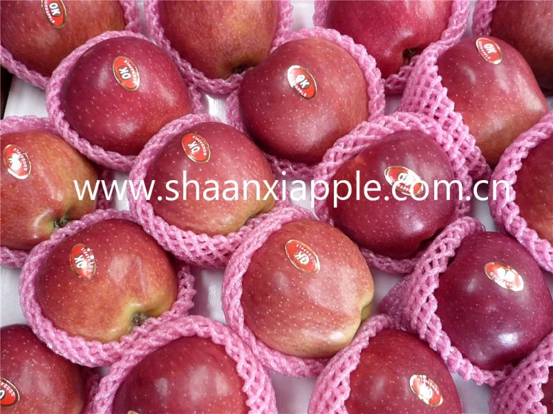 fresh grade A red Huaniu apple
