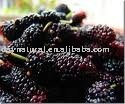 Mulberry Fruit Extract