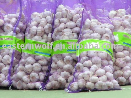 Chinese normal white garlic in 20kg mesh bag package