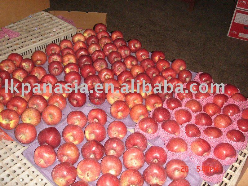 fresh hua niu  apple  ( chinese   red   delicious   apple )