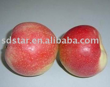 sell delicious chinese fresh good apple(gala apple)