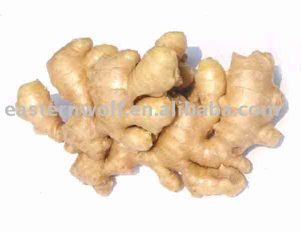 Chinses fresh ginger in 10kg carton package