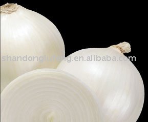  chinese   white   onion 