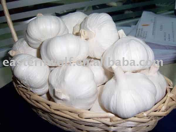 fresh  garlic in mesh bag package
