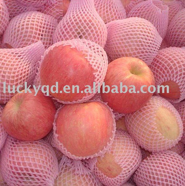 fresh yantai apple