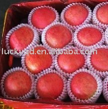 fresh  chinese   red   fuji   apple  70mm