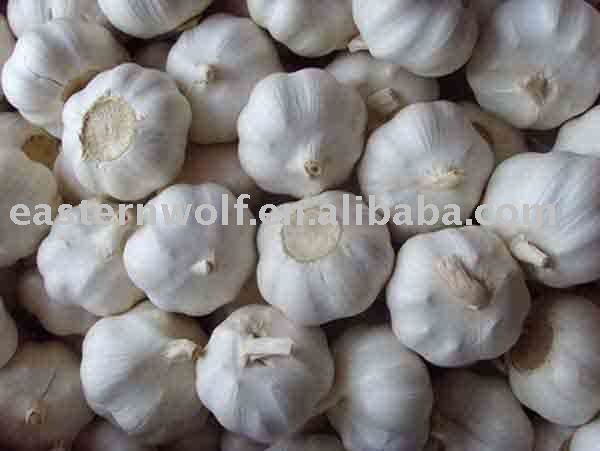 china fresh garlic in mesh bag package
