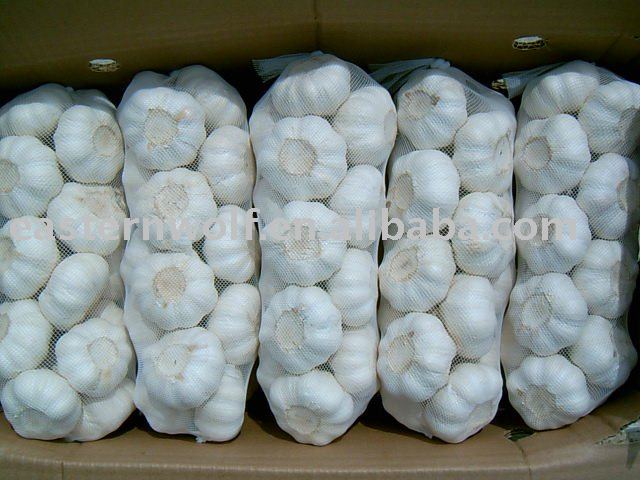 fresh white  garlic  in  mesh   bag   package