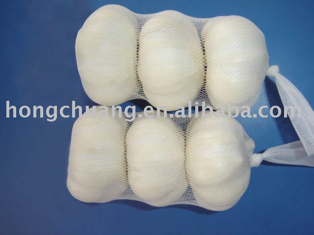  REGULAR   WHITE   FRESH   GARLIC S