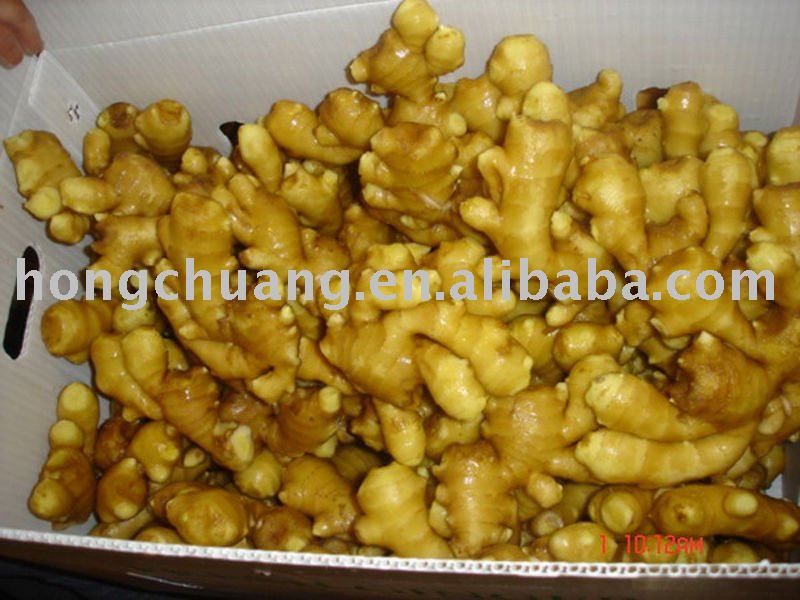 fresh  half   air - dried   ginger 