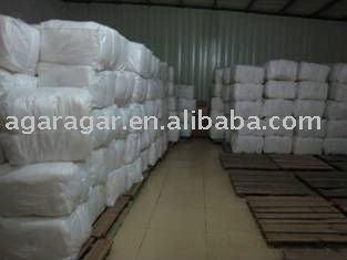 Fine quality  Agar-Agar Strips