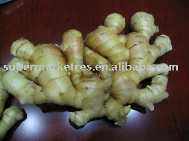  Fresh  ginger; fresh   garlic ; fresh   garlic  shoot