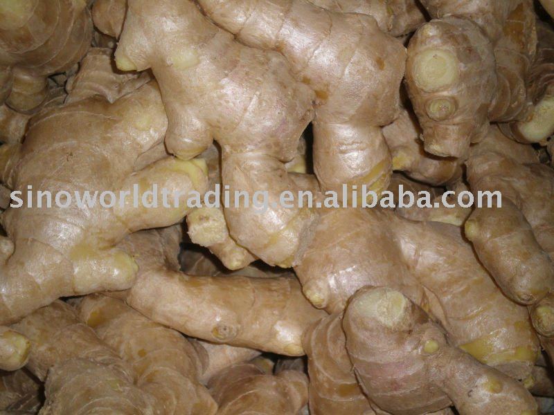  dry   ginger  ( New   Crop )