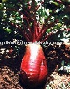 Red radish color  Food pigment Food Additives