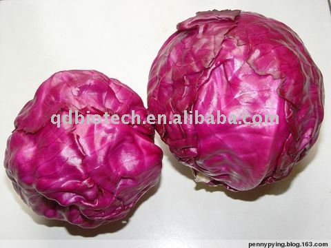 Red cabbage color  Food pigment Food additives