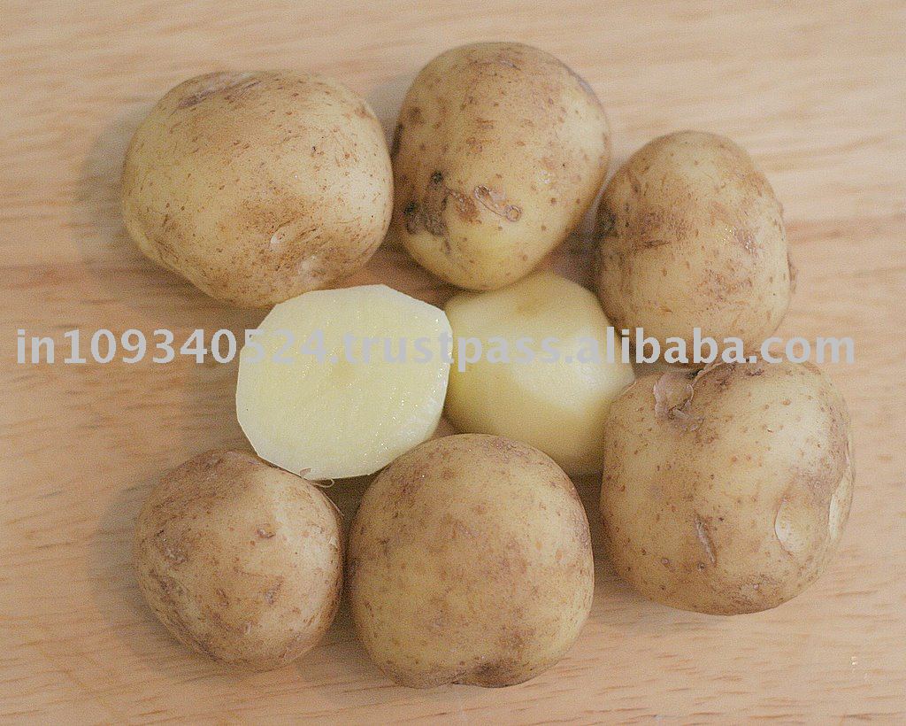  seed   potato es