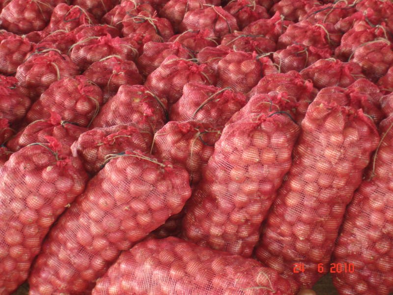  Red   Onions   Packing 