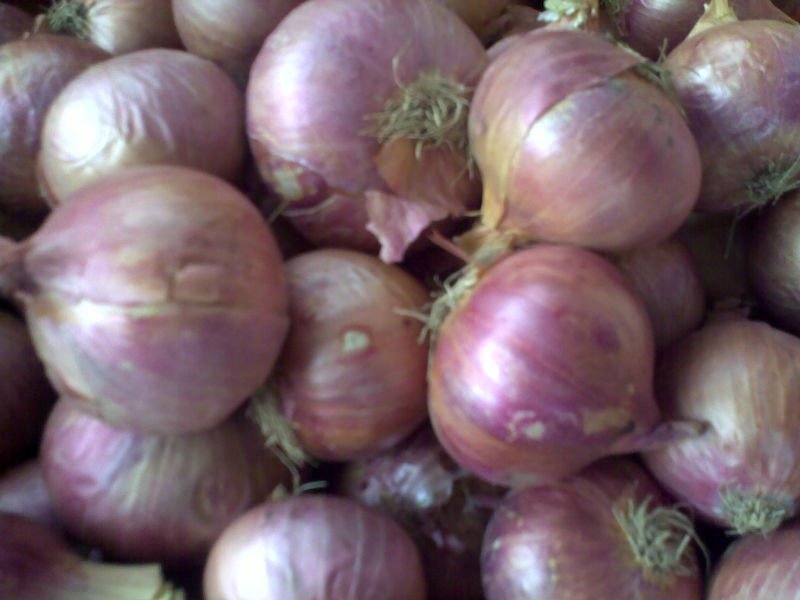 Fresh White Onion