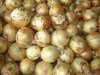 dry garlic,onion and ginger for sale