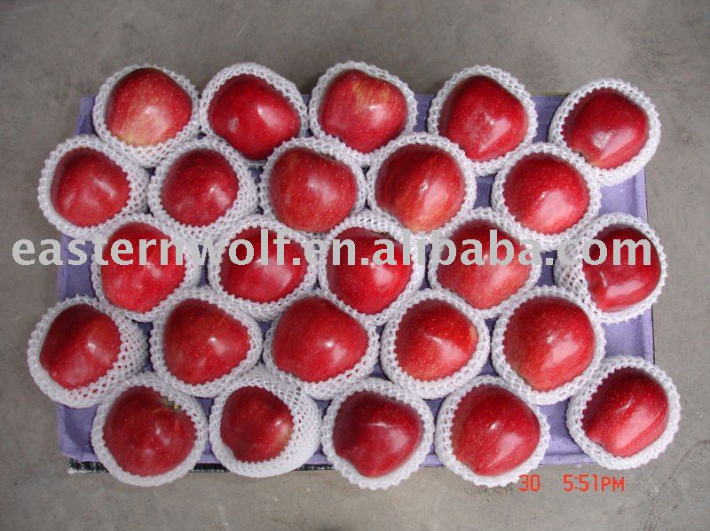 Fresh chinese red delicious apple,new crop!