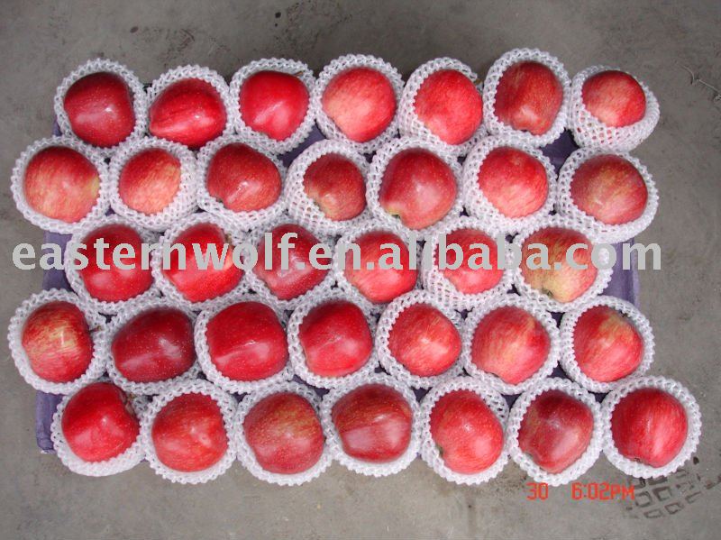 Fresh chinese red delicious apple on sale