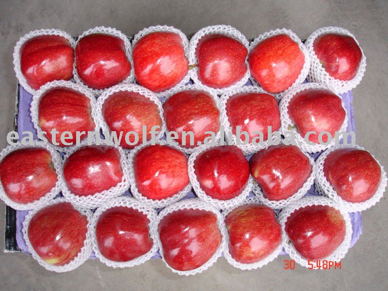 Fresh  chinese   red   delicious   apple ,2010 new crop!