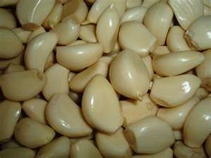 garlic,ginger,onion,other