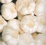 fresh  garlic , onion , ginger  +++