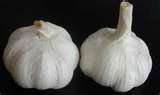 pure white garlics available