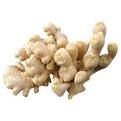 fresh ginger