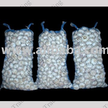  fresh  and  dry   garlic 