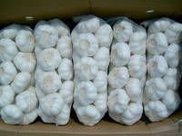 pure  white   dry   garlic s